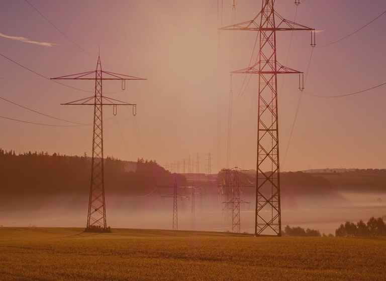 About Platinum Power